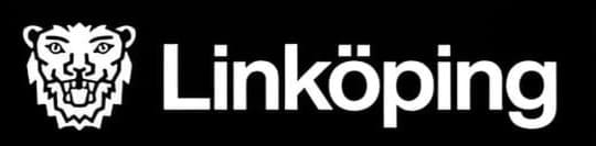 Referens Direktör Linköpings Kommun Hyrpersonal Sverige